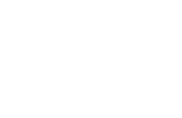 HI-View Engine