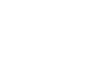 65"-300" Projection Size