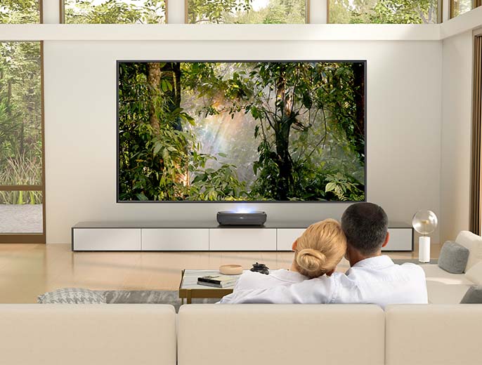  Hisense 100L10E 100-Inch 4K UHD Smart Laser Projector TV with  Screen and 2.1 Audio System (2019) : Everything Else